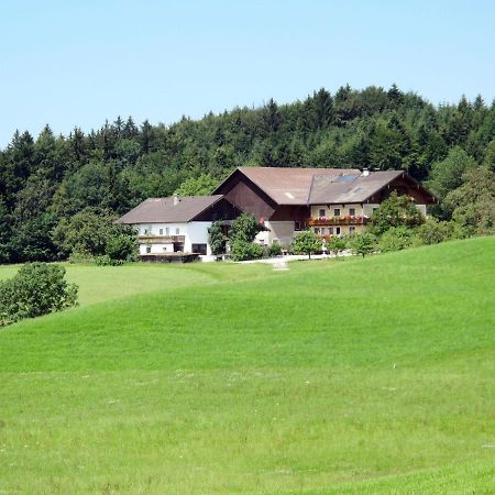 Apartment Bauernhof Vorderroid - Mon400 Oberhofen am Irrsee Buitenkant foto